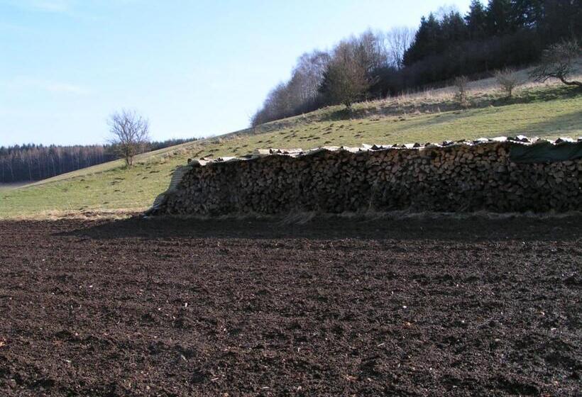 Pension Haus Liesertal