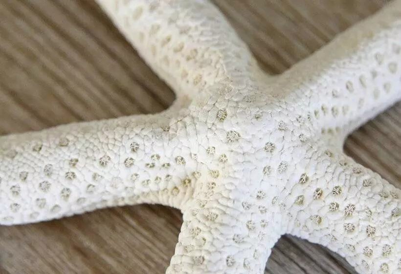 Majatalo La Lisière Du Bétey