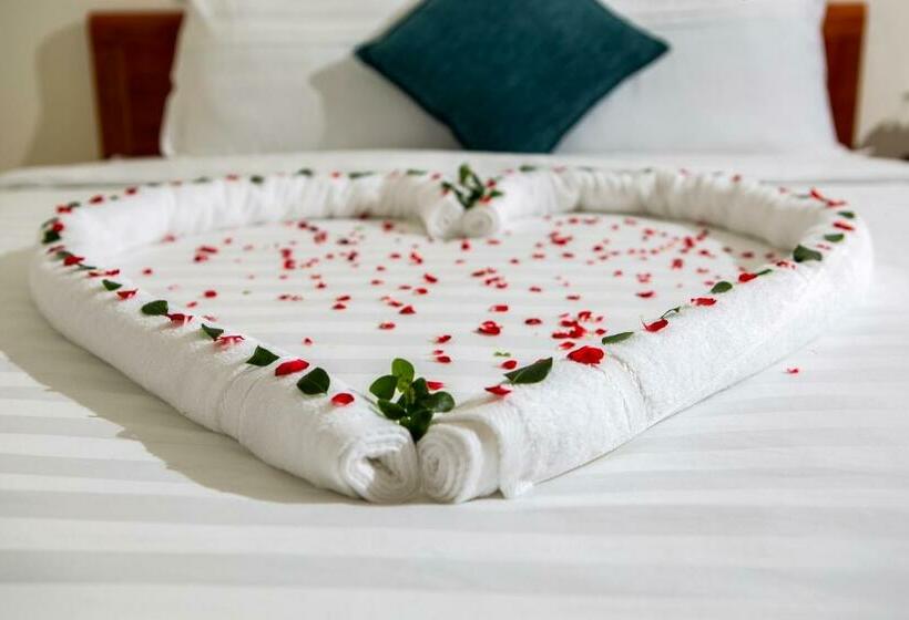 پانسیون Sum Villa Hoi An