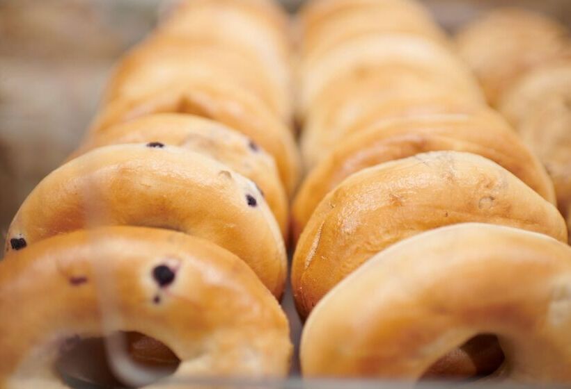 Hotel Staybridge Suites   Denton, An Ihg