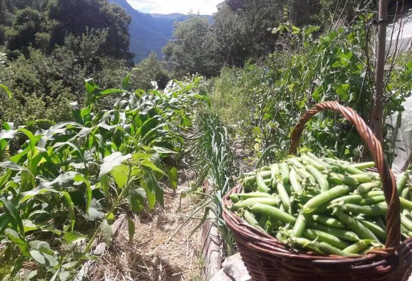 Majatalo Gite D Etape De Meolans