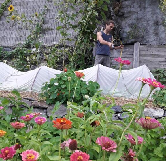 ペンション Gite D Etape De Meolans