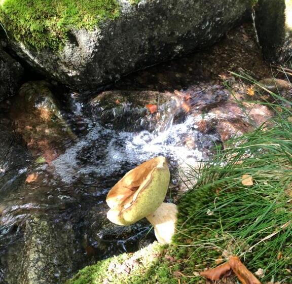 膳宿费 Mas La Tabatière