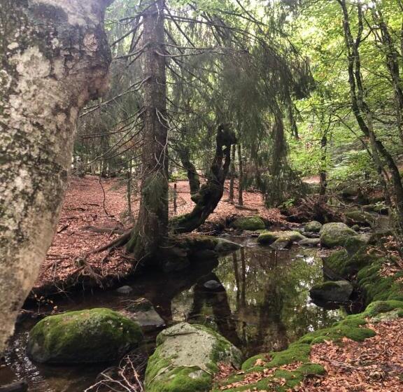 膳宿费 Mas La Tabatière