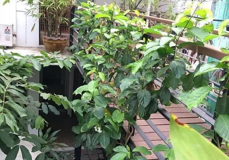 ペンション Schon