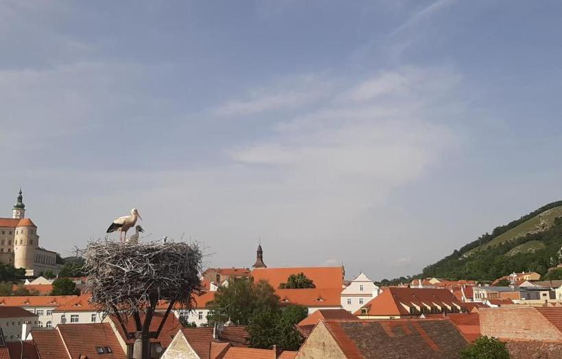 پانسیون Penzion čáp