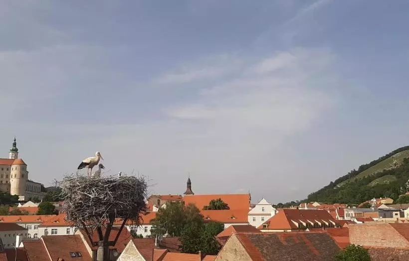 پانسیون Penzion čáp