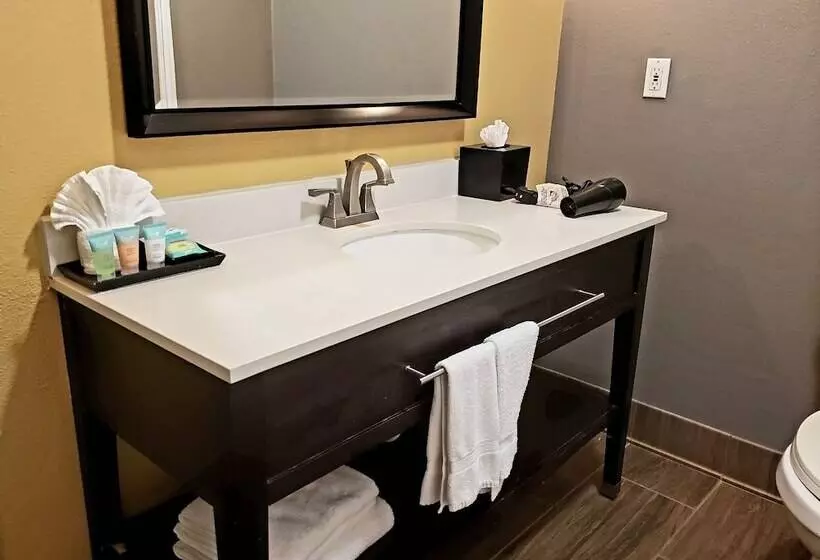 בית מלון כפרי 1550  Sfo Airport West