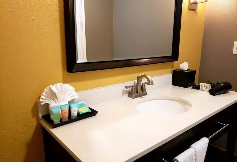 בית מלון כפרי 1550  Sfo Airport West