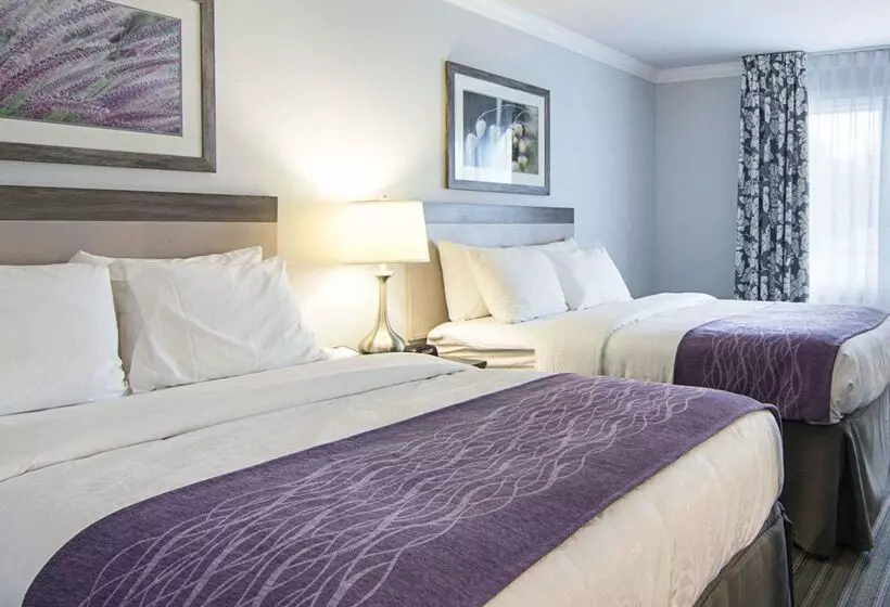 ホテル Comfort Inn Williamsburg Gateway