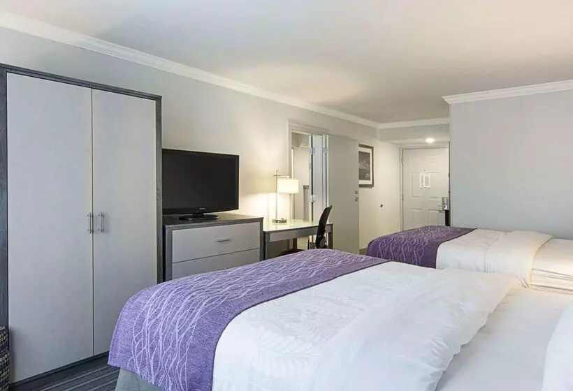 ホテル Comfort Inn Williamsburg Gateway