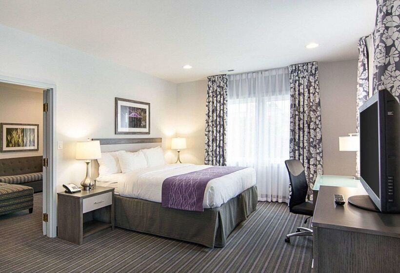 فندق Comfort Inn Williamsburg Gateway