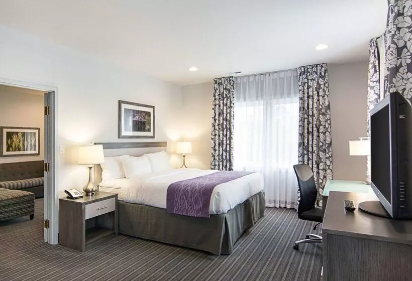 ホテル Comfort Inn Williamsburg Gateway