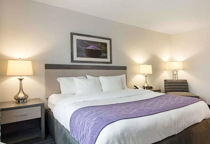 ホテル Comfort Inn Williamsburg Gateway