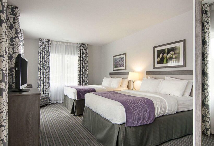 فندق Comfort Inn Williamsburg Gateway