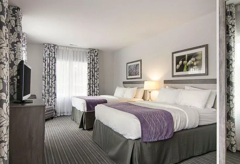 ホテル Comfort Inn Williamsburg Gateway