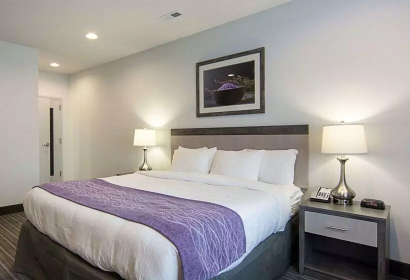 ホテル Comfort Inn Williamsburg Gateway