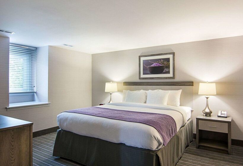 فندق Comfort Inn Williamsburg Gateway