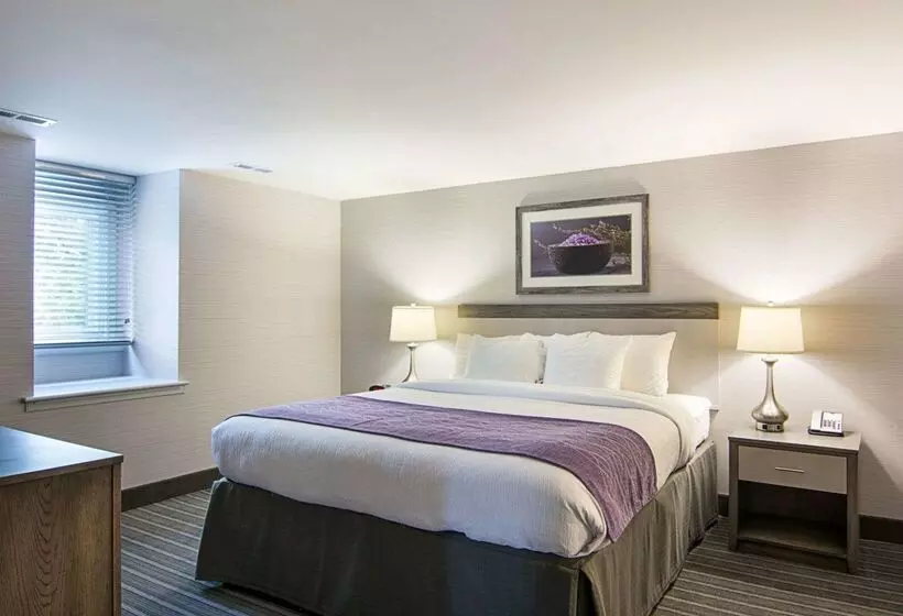 ホテル Comfort Inn Williamsburg Gateway