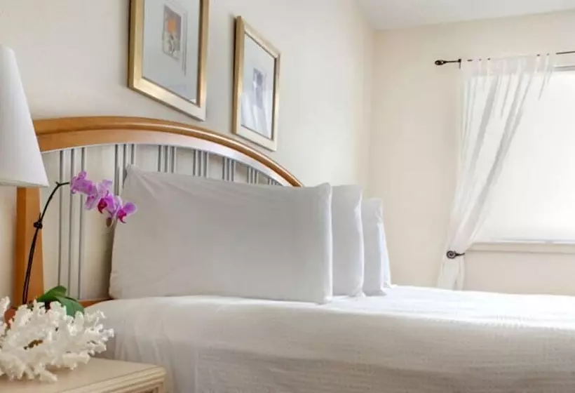 Dorchester Hotel & Suites