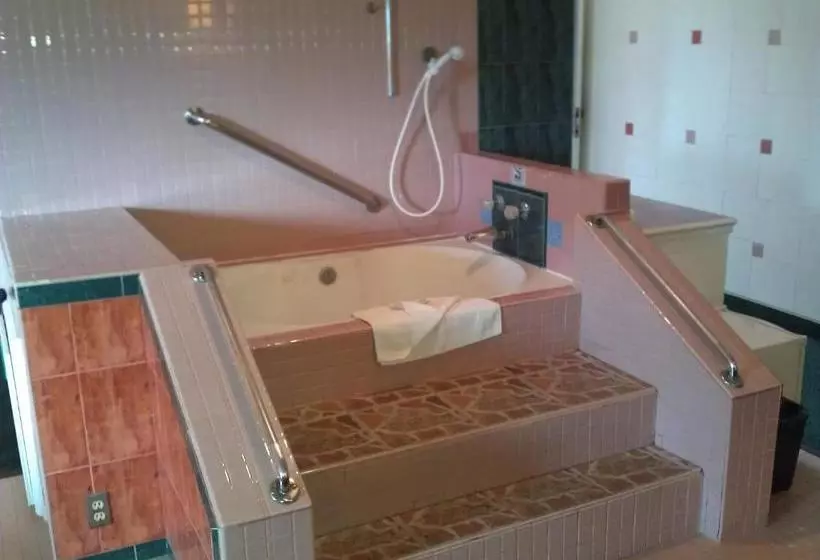 فندق Downey Inn Luxury Suites