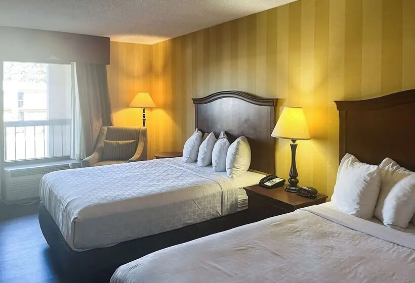Motel 6 Stafford, Va Quantico