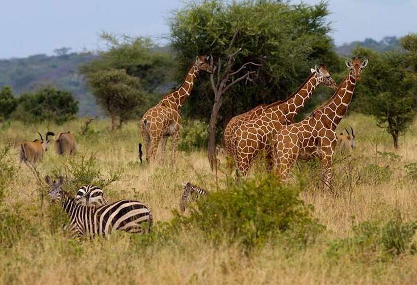 هتل Gloria Beach Lodge