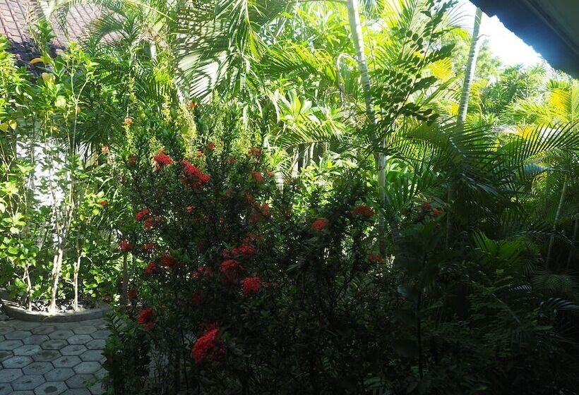 Пансион Scuba Tribe Bali Dive Resort