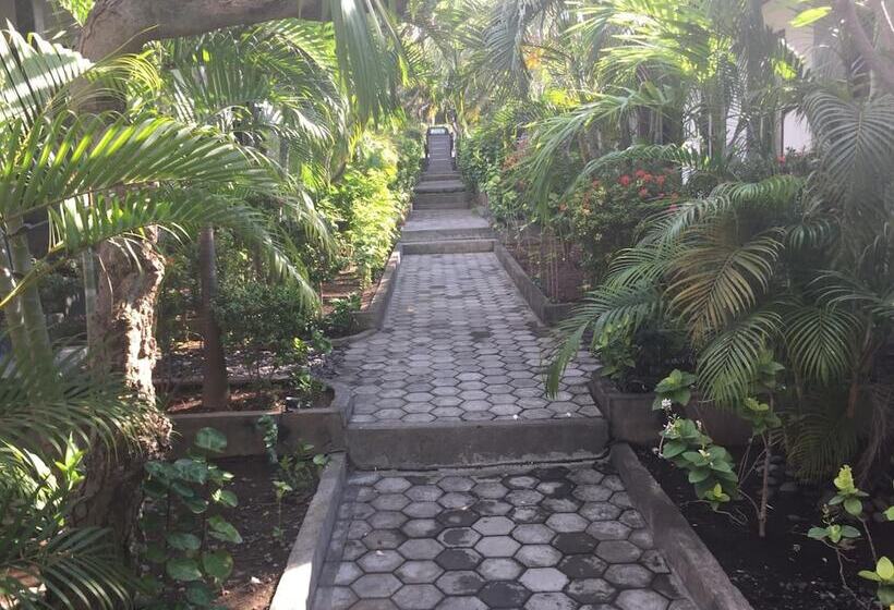 Пансион Scuba Tribe Bali Dive Resort