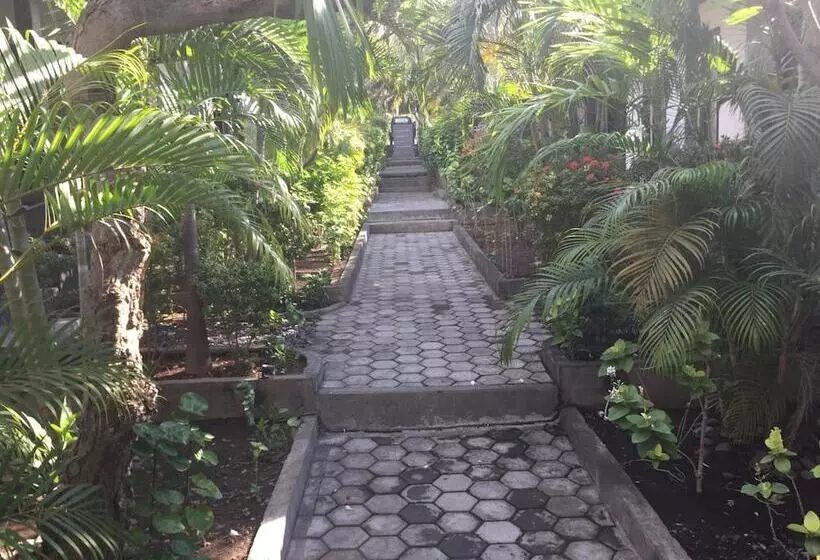 Majatalo Scuba Tribe Bali Dive Resort