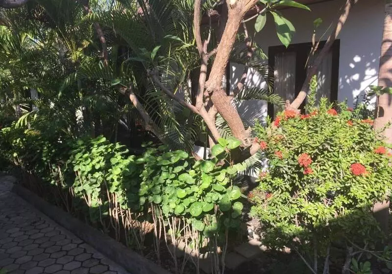 Majatalo Scuba Tribe Bali Dive Resort