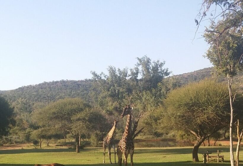 פנסיון Thandile Country Lodge