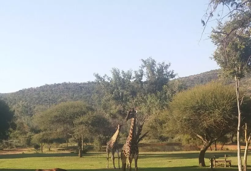 ペンション Thandile Country Lodge