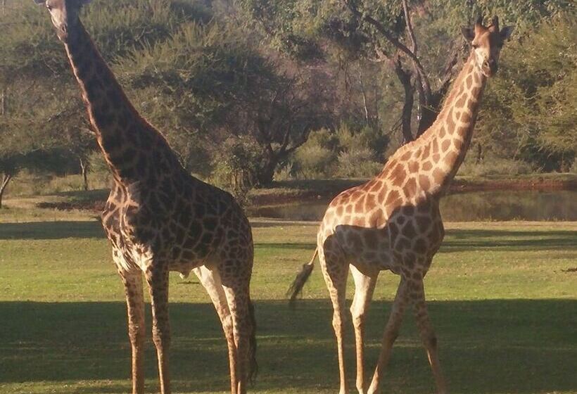 פנסיון Thandile Country Lodge