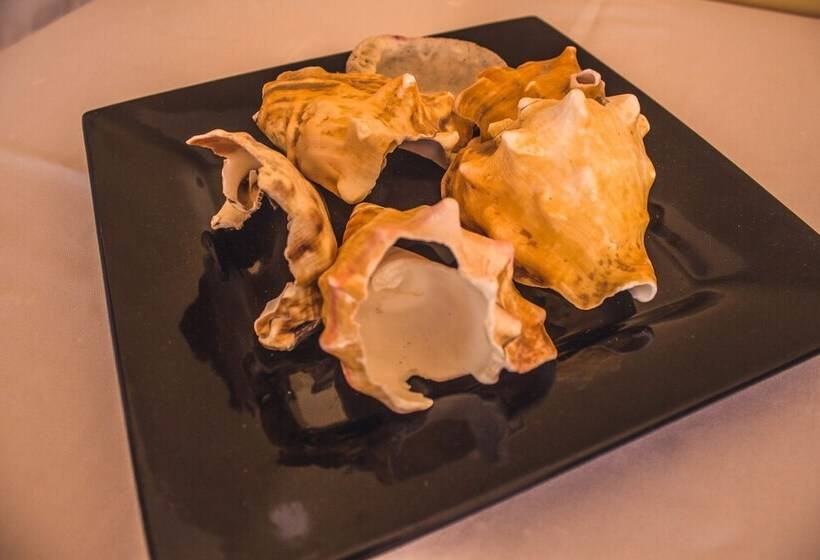 تختخواب و صبحانه Restaurante Baia Guest House