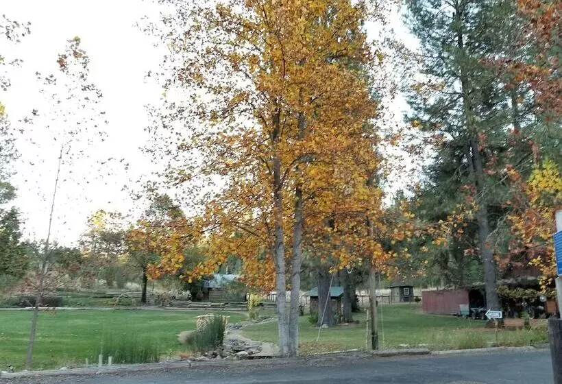 Aamiaismajoitus (B&B) The Davies Family Inn