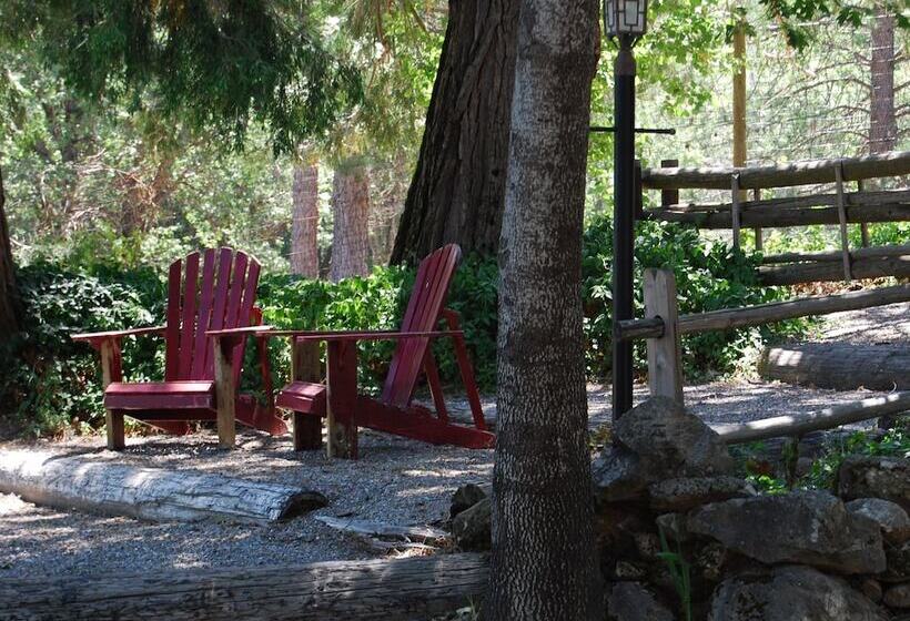 مبيت وإفطار The Davies Family Inn