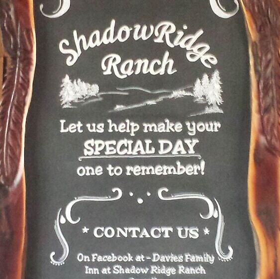 مبيت وإفطار The Davies Family Inn