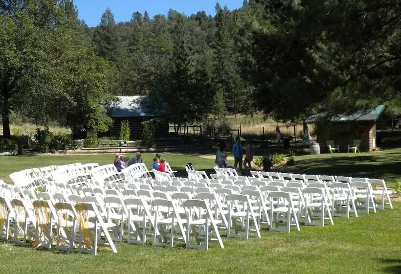 Aamiaismajoitus (B&B) The Davies Family Inn