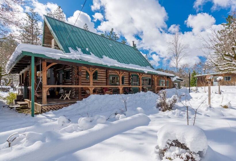 مبيت وإفطار The Davies Family Inn