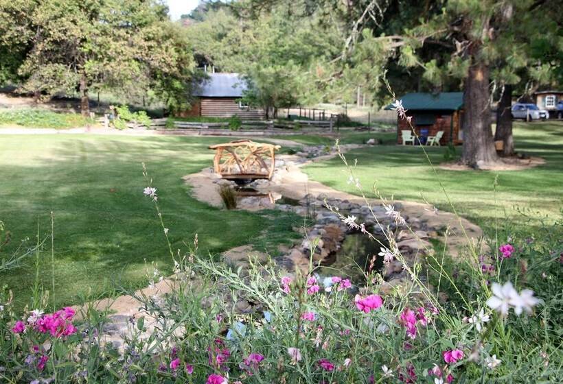 مبيت وإفطار The Davies Family Inn