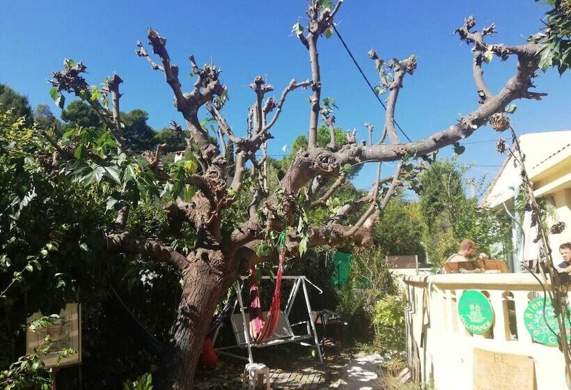 Mini Guest House Goclands Hostel