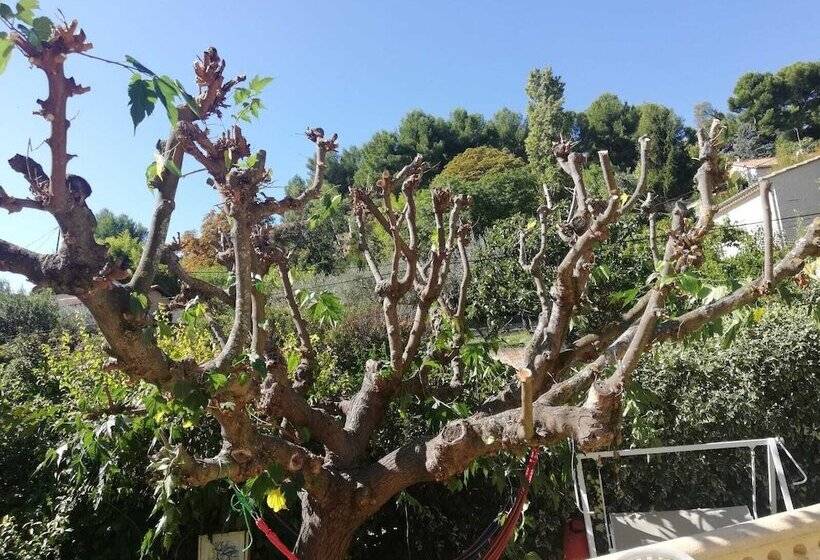 Mini Guest House Goclands Hostel