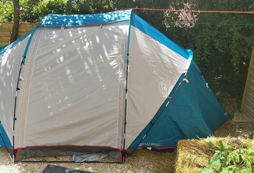 Mini Guest House Goclands Hostel