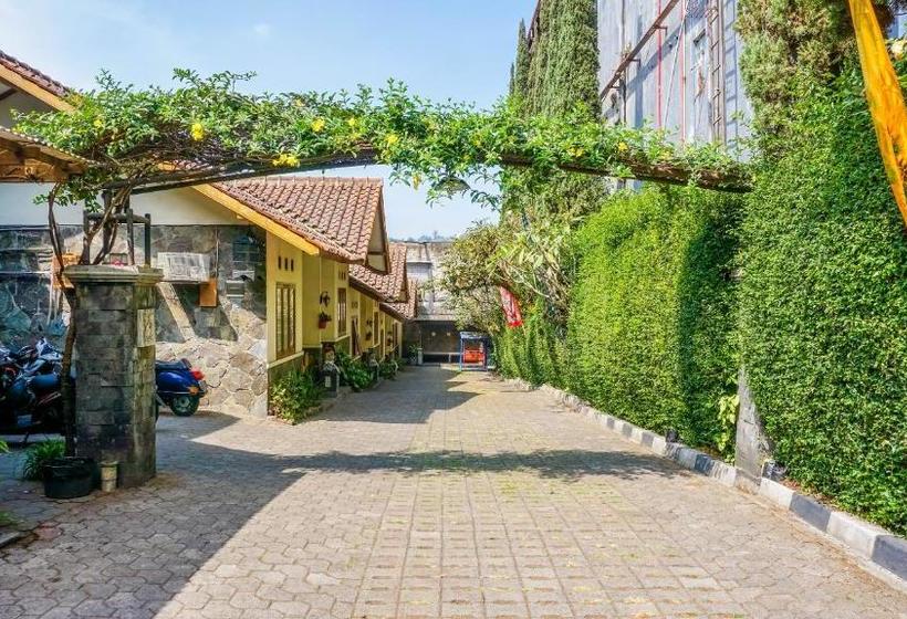 Hostel Cemara Asri By Oyo Rooms