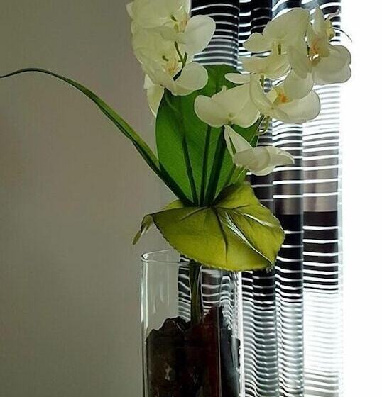 Baldacci Bed & Breakfast