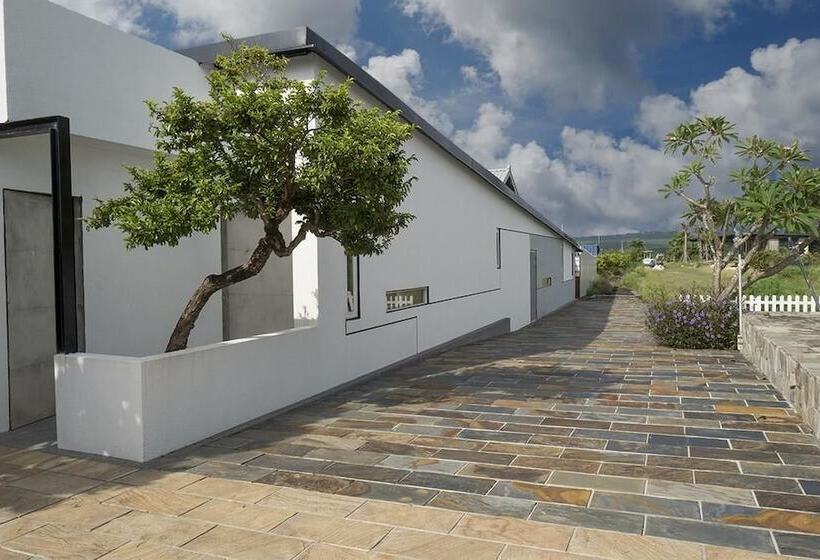 تختخواب و صبحانه Isla Faros