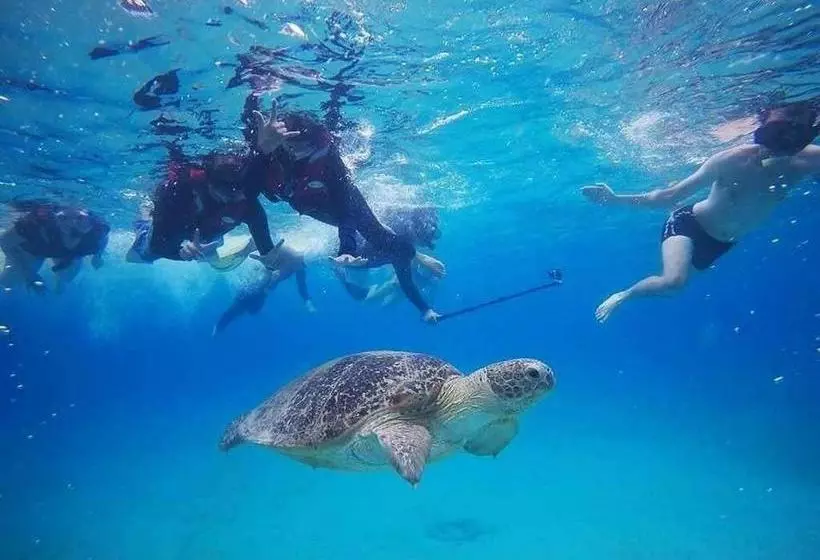 Hotelli Samudra Beach Chalet