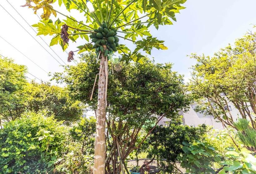 پانسیون Xiaocuixuanhomestay