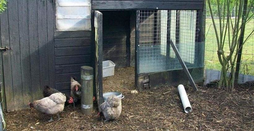 住宿加早餐  Bryncoch